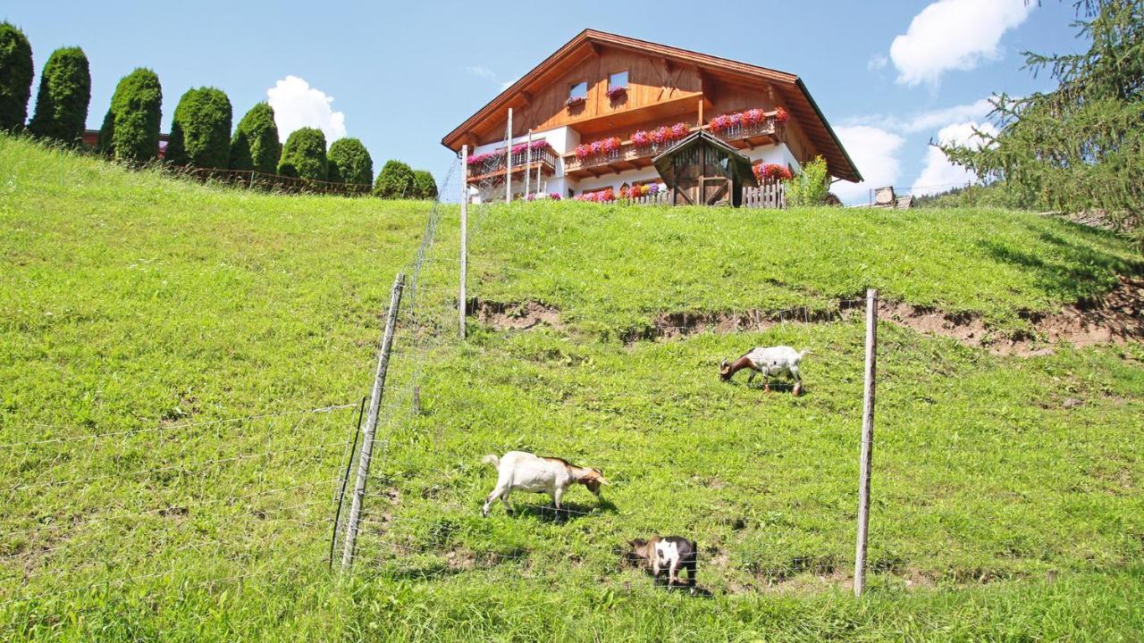 Bed and Breakfast Veltierhof Villnoess Zewnętrze zdjęcie