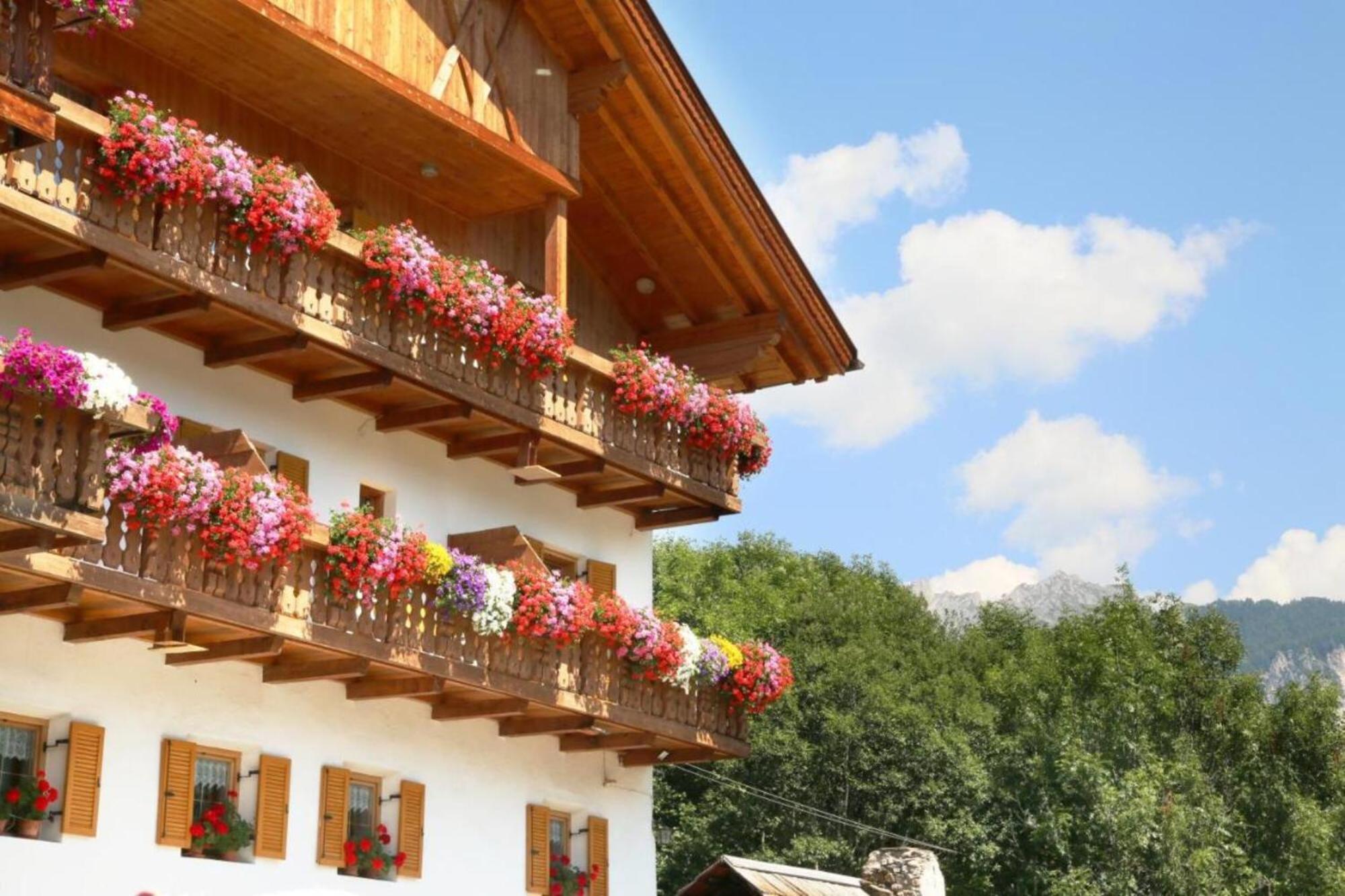 Bed and Breakfast Veltierhof Villnoess Zewnętrze zdjęcie