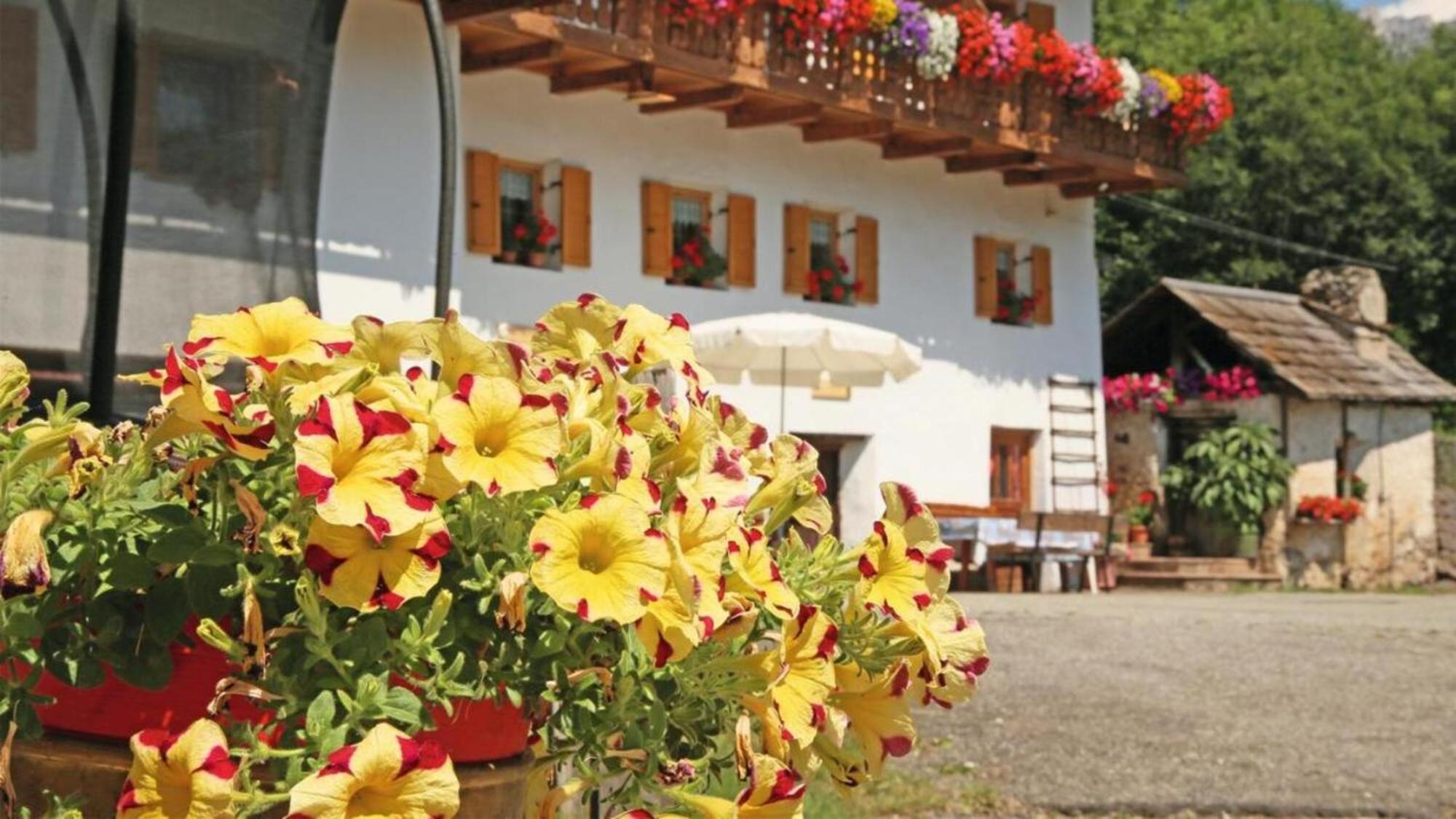 Bed and Breakfast Veltierhof Villnoess Zewnętrze zdjęcie